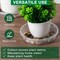 6-Pack 14-Inch Plastic Plant Saucers – Heavy-Duty Drip Trays for Indoor & Outdoor Potted Plants, Transparent Flower Pot Tray Protectors (Clear)